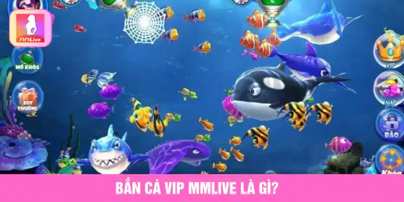 Bắn Cá VIP MMlive Và Các Tính Năng Đặc Biệt Giúp Thắng Lớn Bắn cá VIP MMlive là gì?