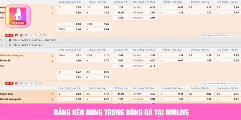 Hướng Dẫn Chơi Kèo Rung Trong Bóng Đá Chuẩn Xác Nhất Bảng kèo rung trong bóng đá tại MMLive