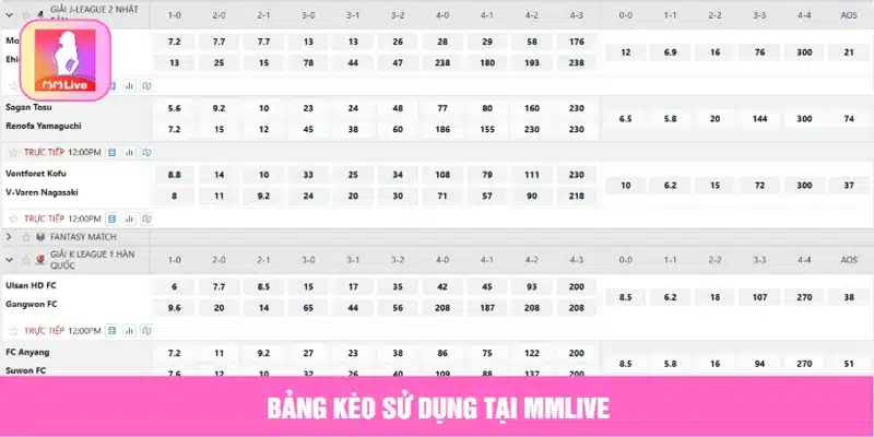 Bảng kèo sử dụng tại MMLive