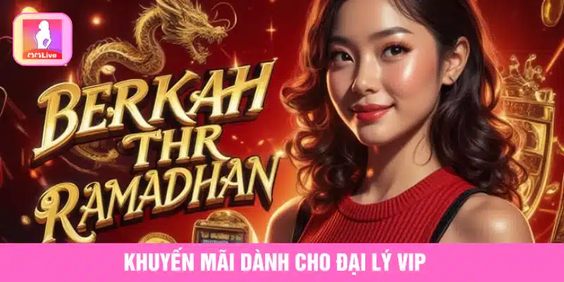 Khuyến Mãi Đại Lý MMlive Tăng Doanh Thu Nhận Quà Khủng Các loại khuyến mãi đại lý tại MMlive
