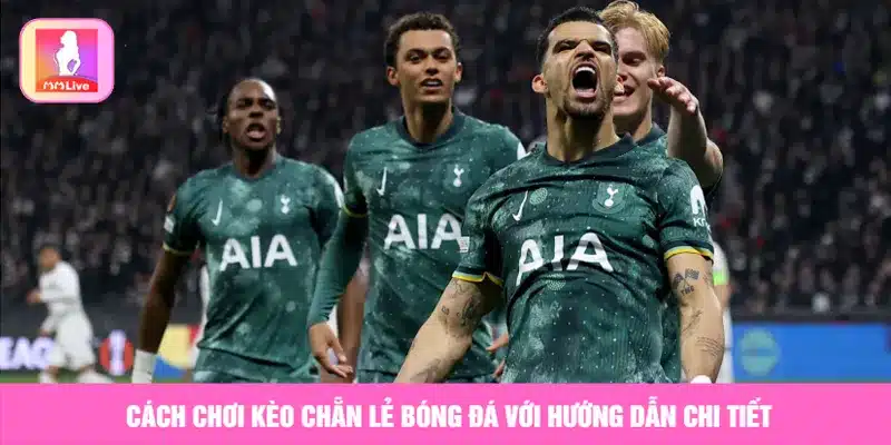 cách chơi kèo chẵn lẻ bóng đá