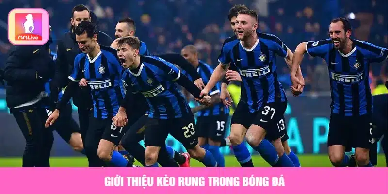 Hướng Dẫn Chơi Kèo Rung Trong Bóng Đá Chuẩn Xác Nhất Giới thiệu kèo rung trong bóng đá
