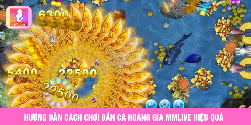 Hướng dẫn cách chơi bắn cá hoàng gia MMlive hiệu quả