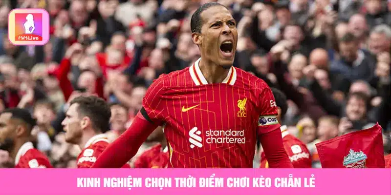 Cách Chơi Kèo Chẵn Lẻ Bóng Đá Với Hướng Dẫn Chi Tiết Kinh nghiệm chọn thời điểm chơi kèo bóng đá