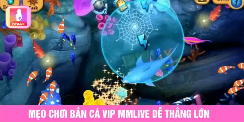 Bắn Cá VIP MMlive Và Các Tính Năng Đặc Biệt Giúp Thắng Lớn Mẹo chơi Bắn cá VIP MMlive dễ thắng lớn