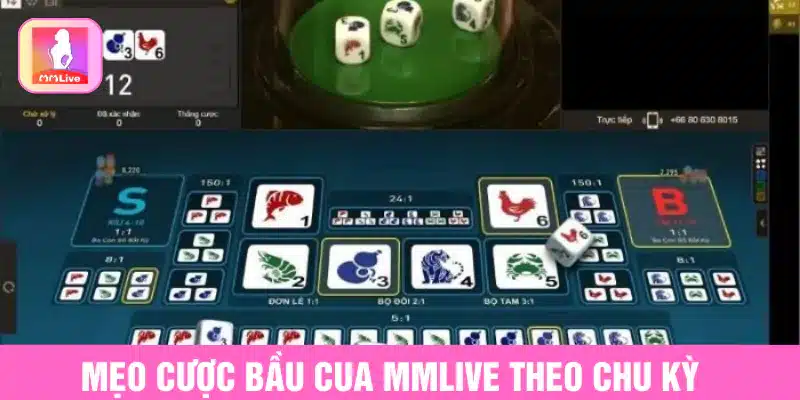 Mẹo cược bầu cua MMlive theo chu kỳ