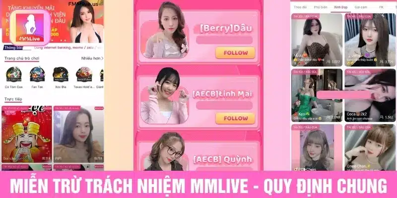 Miễn trừ trách nhiệm MMlive - Quy định chung 