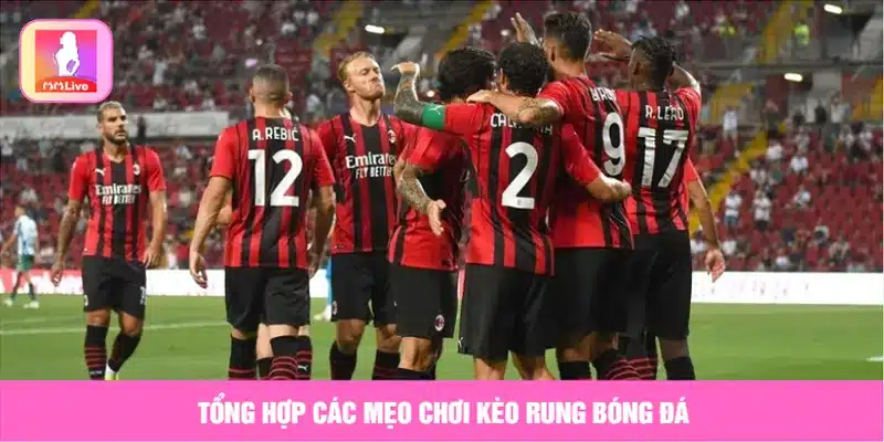 Hướng Dẫn Chơi Kèo Rung Trong Bóng Đá Chuẩn Xác Nhất Tổng hợp mẹo chơi kèo rung bóng đá